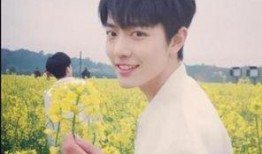 肖战最新人气爆料,最新爆料揭秘粉丝狂热背后的秘密